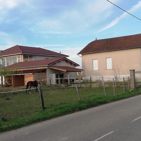 Maison De 100M2 Au Coeur D'Une Pension Equestre Les Sabots De Nina Marcollin Ngoại thất bức ảnh